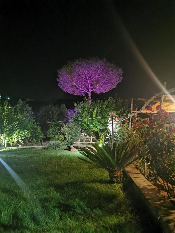 L'Angolo Di Campagna Piano di Sorrento Exterior foto