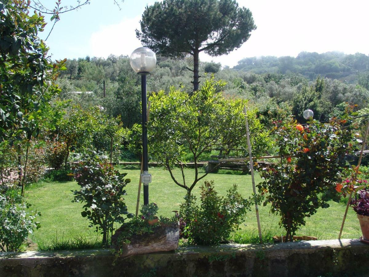 L'Angolo Di Campagna Piano di Sorrento Exterior foto